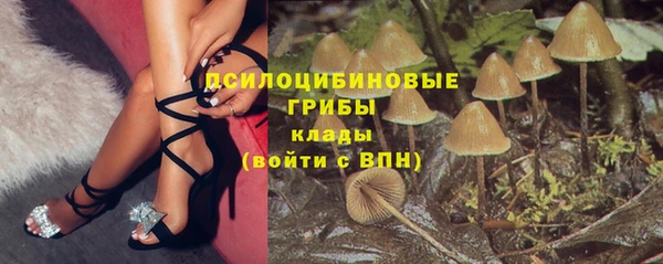 соль ск Балахна